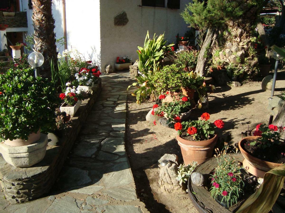 Apartamento Solmar Palmadula Exterior foto
